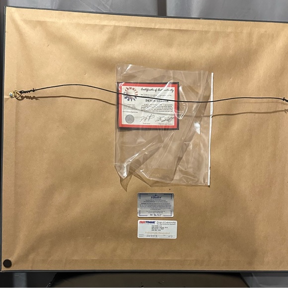 Autographed Devin  Hester Super Bowl XLI run back photograph. - Picture 2 of 2